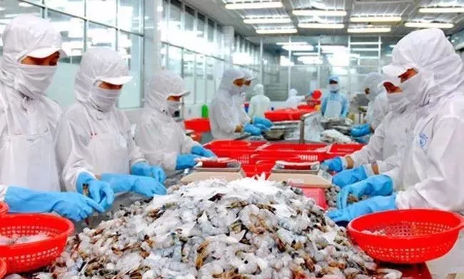 超越美國，2017年中國成越南巴沙魚和蝦類最大出口市場