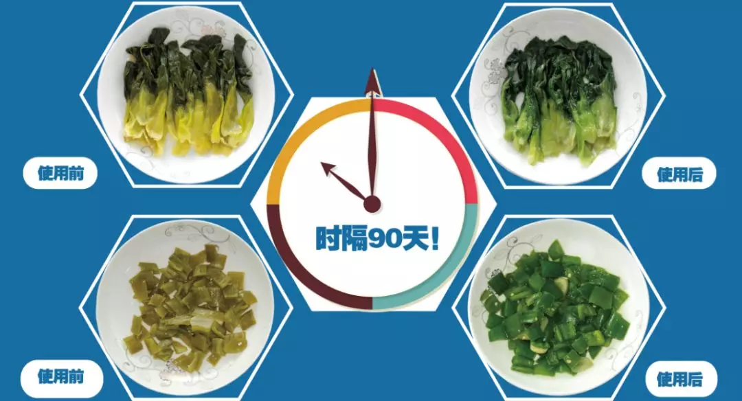 青菜“綠”了，生意紅了，這款“美顏神器”不簡單！