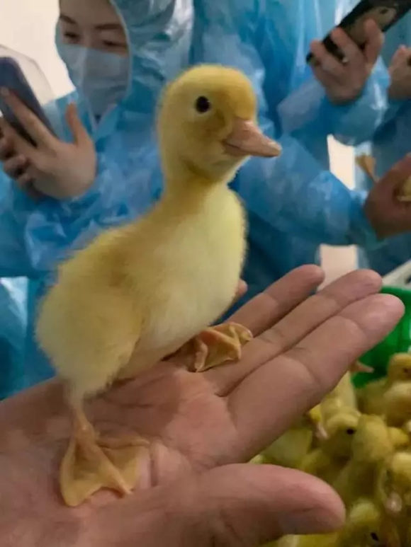 1566786366457420.png 1566786366457420.png