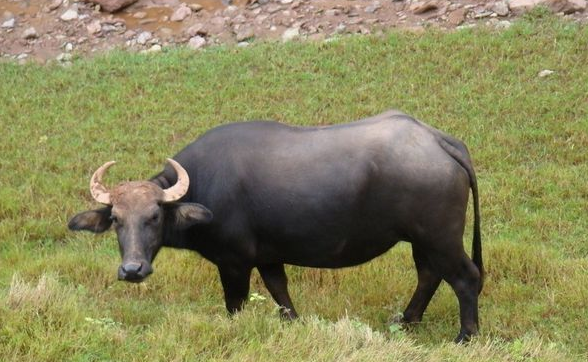 1602494843632271.png 8TJXTF02G_4E1L}17EM6G@W.png