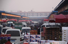 追蹤 | 冷庫停業(yè)，旺季將至，急壞凍品人！怎么辦？