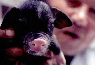 1615773391890675.jpg 微信圖片_20210315095425.jpg