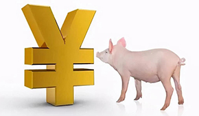 誰是國內(nèi)養(yǎng)豬第一大省？