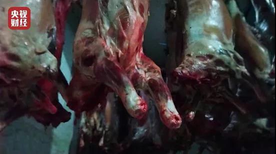 1615859481466047.jpg 1615859481466047.jpg