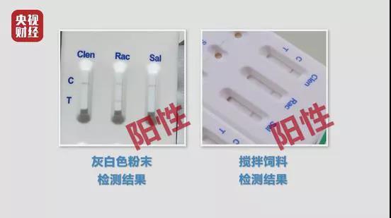 1615860487531042.jpg 1615860487531042.jpg