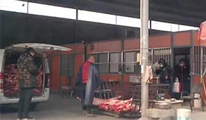 又見瘦肉精，河北青縣問題羊肉流向河南等地！當(dāng)?shù)卣o急回應(yīng)