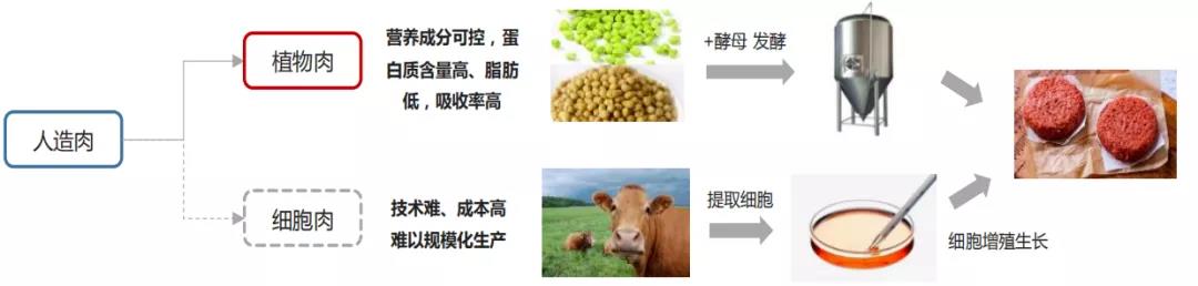 1617845365239890.jpg 1617845365239890.jpg