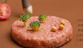 對話拉絲蛋白巨頭：植物肉是一場飲食革命，大眾消費(fèi)是方向