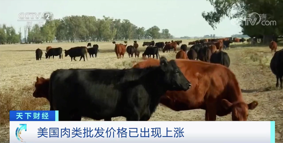 1622685040292868.png 1622685040292868.png