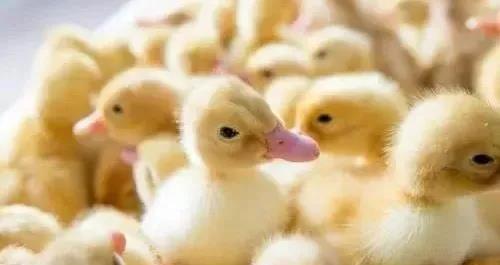 1640567724192907.jpg 微信圖片_20211227091158.jpg