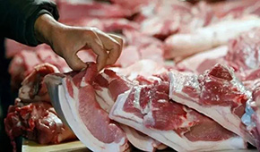 發(fā)改委發(fā)布生豬價格過度下跌三級預警 ，豬價真的要“奔5”？