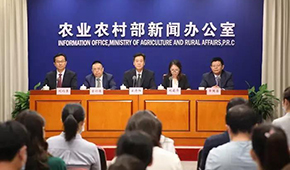 豬價下跌豬企承壓，有企業(yè)半年預虧34.5億，國家第三次出手收儲