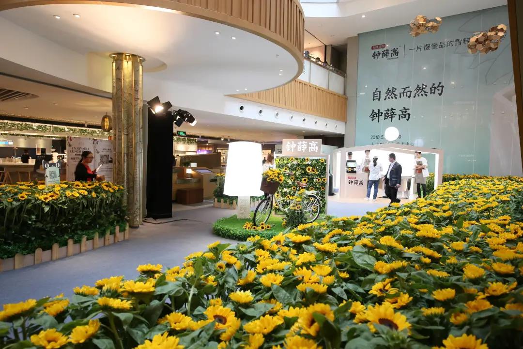 1635819152908038.jpg 1635819152908038.jpg