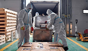 全國(guó)28個(gè)省份已建成869個(gè)集中監(jiān)管倉(cāng)，進(jìn)口冷鏈“國(guó)家平臺(tái)”將升級(jí)2.0版