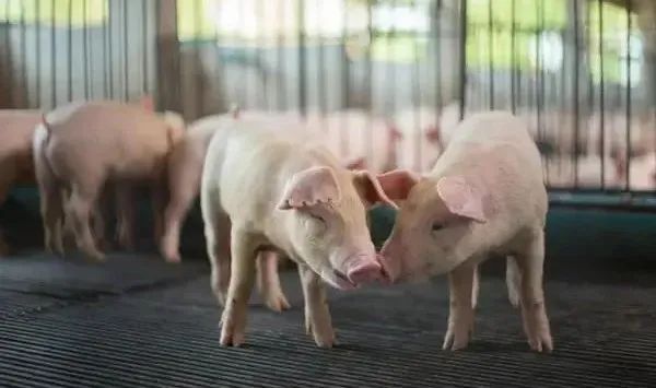 1649381203470463.jpg 微信圖片_20220408092601.jpg