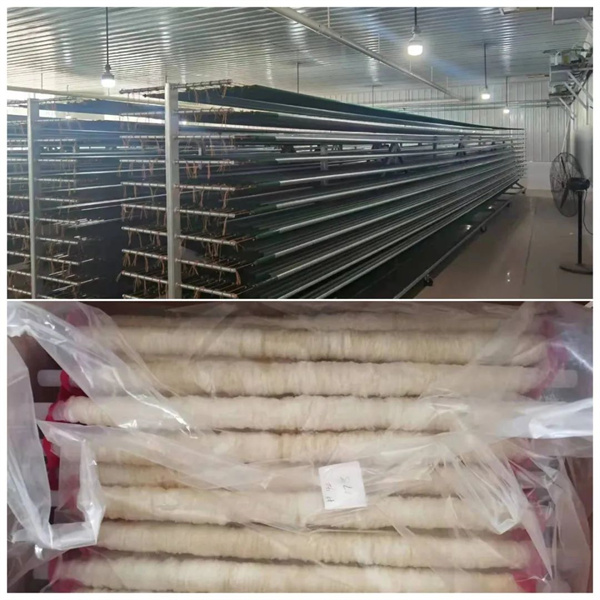 1650768310226494.jpg 微信圖片_20220424100908.jpg