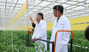 馬家廚房？馬家秘制老鴨煲？馬云的“假動作”為何讓市場興奮？