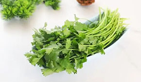 香菜餅、香菜丸、香菜油條、香菜小酥肉…香菜為啥這么“香”？