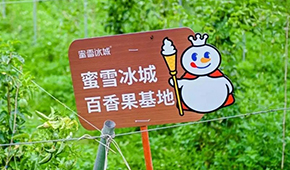 今日上市！覆蓋全球六大洲38個(gè)國(guó)家，“雪王”的采購(gòu)網(wǎng)到底有多牛？