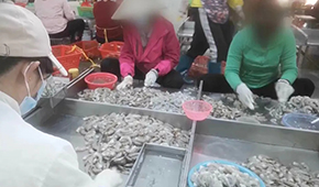 3·15晚會曝光凍蝦仁超量添加保水劑，相關(guān)企業(yè)產(chǎn)品下架
